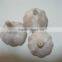 2016 Fresh Garlic/AJO for Colombia Garlic Market 3P/10kg Carton