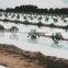 Agricultural Mulch Film/agriculture Polyethylene Film/ Mulch New Film
