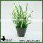 PE Artificial Plastic Potted Grass in Black Plastic Pot for wholeselling
