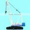 Crawler Crane for Africa Market