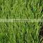 Popular Pe Material Football Plastic Turf