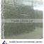 wholesale Brazil Verde Bahia granite black granite tile