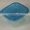 clear disposable food lunch plastic box