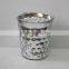 mini wide mouth glass diamond eletroplating silver vase with more style