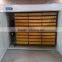 Good quality incubator for ostrich eggs/ automatic ostrich incubator ZH-5280