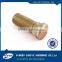 slotted truss head phillips roofing bolt