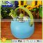 2.5L colorful stainless steel jug tea kettle whistle for induction cooker