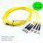 China supplier ST/PC SM-6cores Breakout 2.0mm pigtail