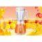 Stainless Steel Kitchen Living Electric Fruit Portable Juicer Mixer Grinder Juicer