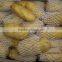 fresh sweet potato 10kg Ctn