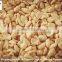 25/29 41/51 blanched peanut kernel/peanuts red skin/blanched peanuts kernels