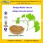 GMP Certified Manufacturer Supply Natural Ginkgo Extract