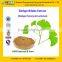 GMP Factory Supply Natural Gingko Extract with Ginkgo Flavone Glycosides