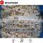 frozen Champignons with good quality