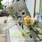 Automatic Vegetable Vacuum Gas-Flushing Packaging Packing Machine