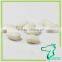 180-200 Square Shape White Kidney Beans Light Color Beans