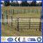 China steel structure building prefab poultry house horse stables