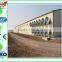 A type/H type /layer/broiler chicken cage
