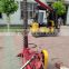 High quality T/T L/C gas lawn mower uesd for Russia market