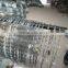 (high quality)Galvinized razor barbed wire(factory)