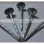 Large head roofing nail china nail factory price from China