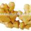 Ginger Multiple layer continuous type mesh belt dryer