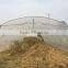 Tunnel plastic Greenhouse film agriculture