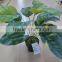 SJ12001162 Name potted decorative foliage plant plastic plant indoor