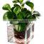 Crystal Cube Self-wating Clear Flower Pot Fish Tank
