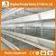 Hercles high quality poultry equipment automatic chicken layer cage/egg laying cages for sale in philippines