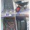 Africa market wheel barrow WB3800