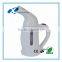 Hand held steamer fabric vertical steam iron Portable mini travel garment steamer