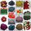 100% wool Nepal NEW Felt Balls 2 cm home Crafts Christmas Nursery Felted Garland