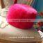 AliExpress hot sale Europe high-grade candy color Russian prevent snow and wind faux fox fur hat beret cap