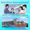 Professional French Chinese Translator / Chinese-French translation services in China