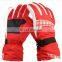 RIGWARL New Warm Winter Waterproof Ski Gloves