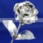 Silver Plated Natural Rose