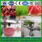 Manual Wheat grass Juicer / Healthy Juicer|Ginger celery fruit and vegetable juicer extractor