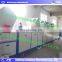 Good performance high quality vegetable Cleaning production line