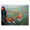 INCLINED BELT OIL SKIMMER from Qingdao Singreat in chinese(Evergreen Properity )