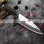 Beautiful wood handle Japanese stainless steel sushi knife