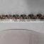 Dongfeng DCI11 engine high pressure fuel rail D5010222524 / 0445226069