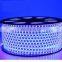 Double side IP65 led striplight rgb flexible light strip