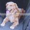 High quality waterproof cushion pet dog car seat cover , car pet dog toilet mat