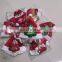 Wholesale ornaments funny supplies pet cats and dogs Christmas hats
