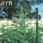 Welded Holland Wire Mesh Euro Fence For Farm