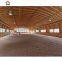 China hot sell steel structure horse arena building