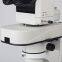 Stereo-fluorescence microscope MZX100