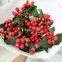 Fresh Cut Berry From China China Fresh Flower Supplier