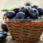 Blueberry/Mushroom/Agaric/Tremella/Date/Potherb Washing and Cleaning Machine